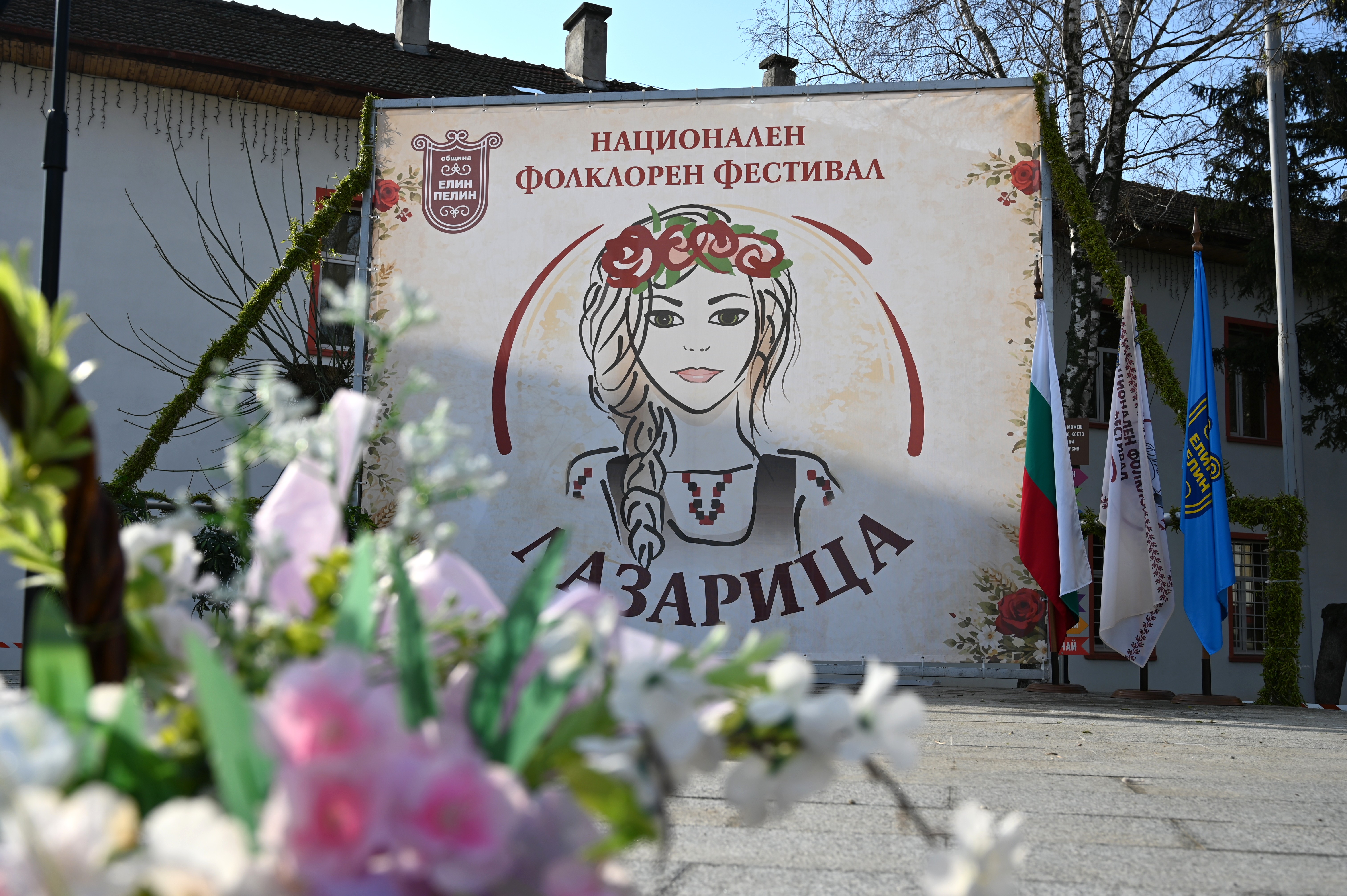 DSC_7801.JPG
